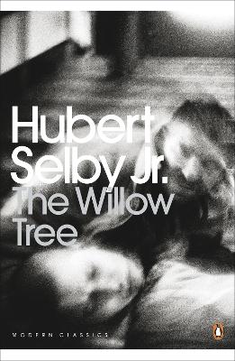 Book cover for The Willow Tree