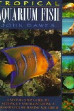 Cover of Tropical & Freshwater Aquarium Fish