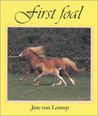 Book cover for First Foal