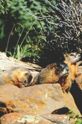 Cover of Cute Rocky Mountain Wildlife Photograph Marmot Family Wide-ruled School Composition Lined Notebook