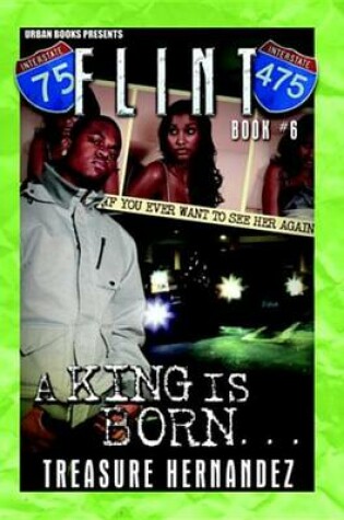 Cover of Flint 6