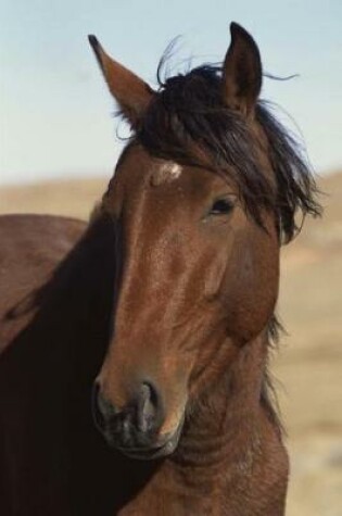 Cover of Equine Journal Bay Horse In Wind