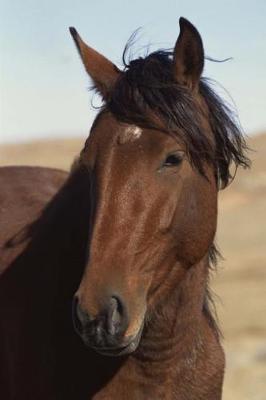 Book cover for Equine Journal Bay Horse In Wind