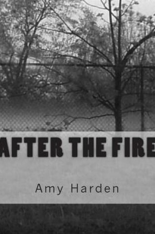 Cover of After the Fire