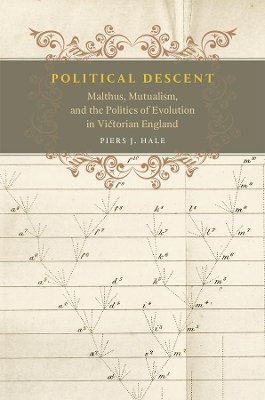 Book cover for Political Descent
