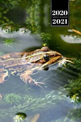 Cover of Frog Toad Week Planner Weekly Organizer Calendar 2020 / 2021 - Aquatic Plants