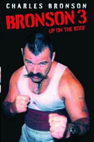 Cover of Bronson 3
