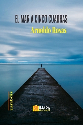 Book cover for El mar a cinco cuadras