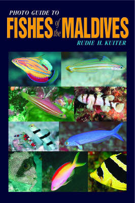 Book cover for Photo Guide to Fishes of the Maldives