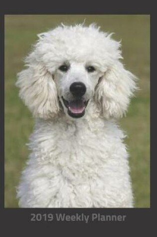 Cover of Plan on It 2019 Weekly Calendar Planner - Let's Play Fetch Poodle