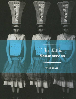 Book cover for The Little Seamstress