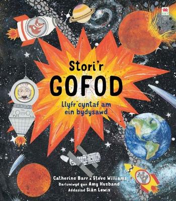 Book cover for Stori'r Gofod