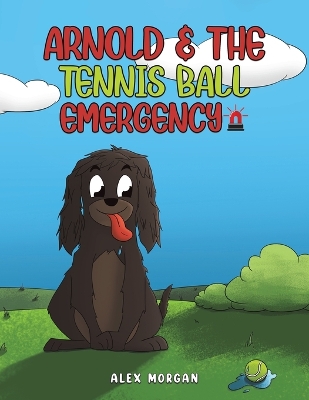 Book cover for Arnold & The Tennis Ball Emergency