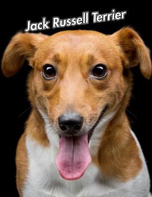 Book cover for Jack Russell Terrier