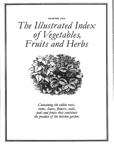 Book cover for Self-Sufficient Gardener