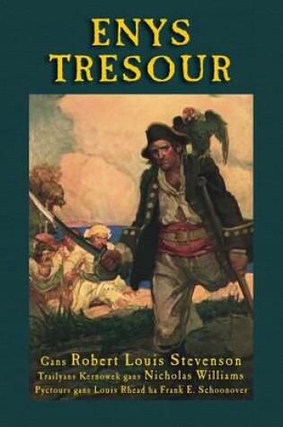 Cover of Enys Tresour