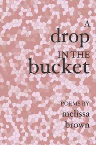 Cover of A Drop in the Bucket