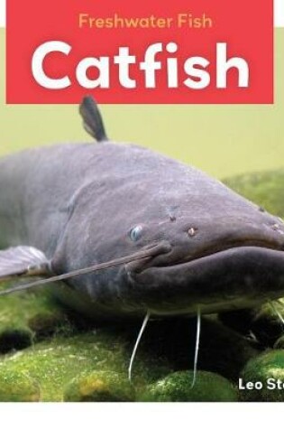 Cover of Catfish