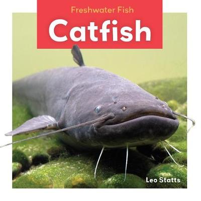 Book cover for Catfish