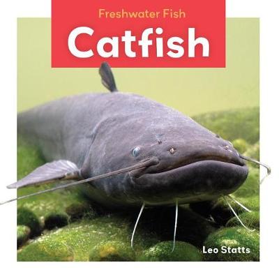 Cover of Catfish