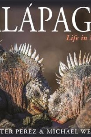 Cover of Galapagos