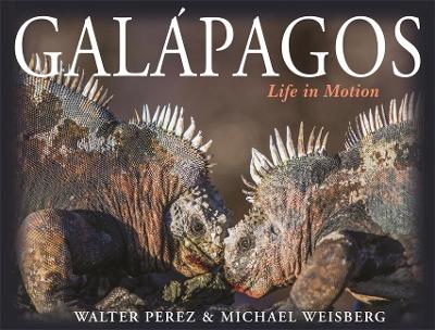 Book cover for Galapagos