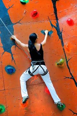 Book cover for A Woman Climbing Up a Rock Wall Sports Journal