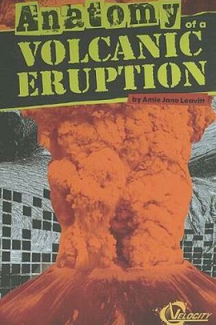 Cover of Anatomy of a Volcanic Eruption