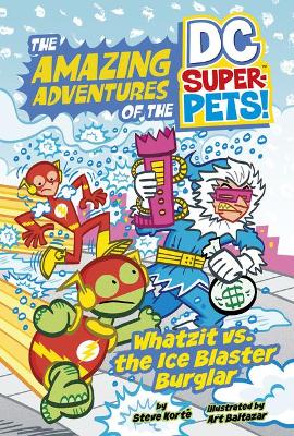 Book cover for Whatzit vs the Ice Blaster Burglar