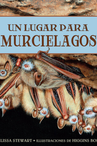 Cover of Un lugar para los murciélagos