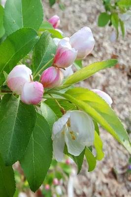 Cover of 2019 Daily Planner Spring Flower Buds Ready To Open 384 Pages