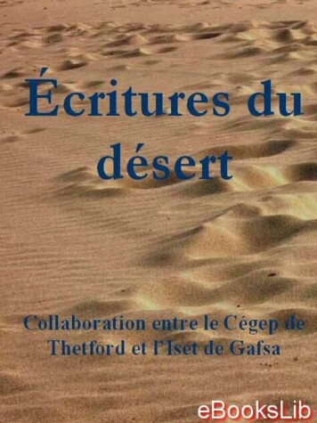 Book cover for Ecritures Du Desert