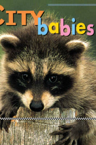 Cover of City Babies