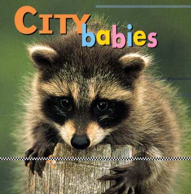 Book cover for City Babies