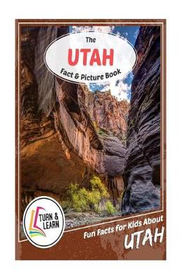 Book cover for The Utah Fact and Picture Book