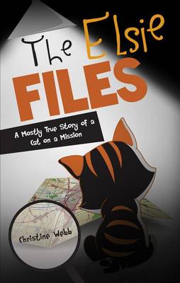 Book cover for The Elsie Files