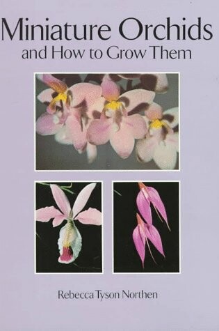 Cover of Miniature Orchids and How to Grow them