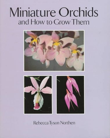 Cover of Miniature Orchids and How to Grow them