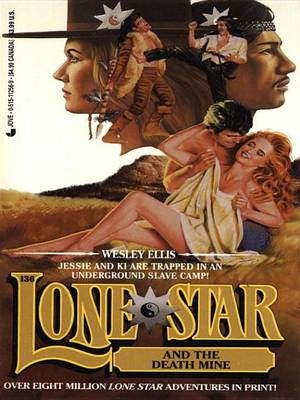 Book cover for Lone Star 136
