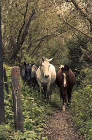 Cover of Three Lovely Horses in the Forest Journal