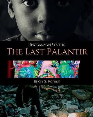 Book cover for The Last Palantir