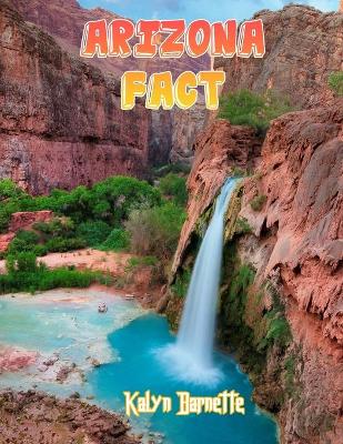 Book cover for Arizona Fact