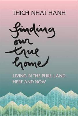 Book cover for Finding Our True Home