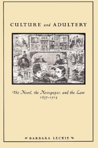 Cover of Culture and Adultery