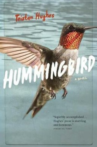 Cover of Hummingbird