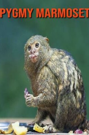 Cover of Pygmy Marmoset