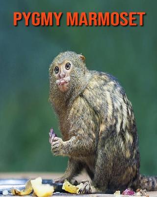 Book cover for Pygmy Marmoset