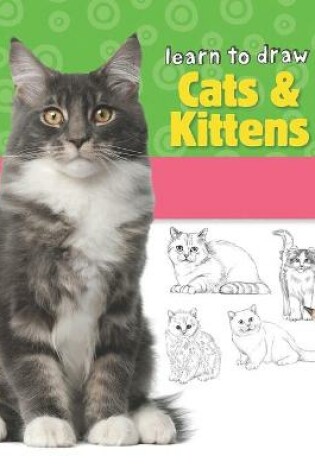 Cover of Learn to Draw Cats & Kittens