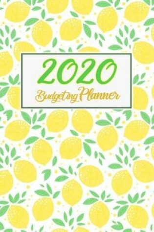 Cover of 2020 Budgeting Planner