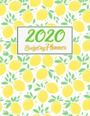 Book cover for 2020 Budgeting Planner
